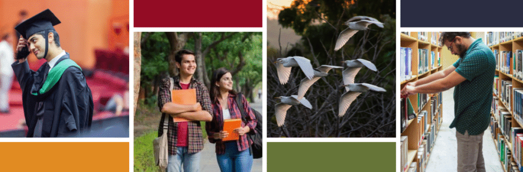 Nlsiu Banglore collage