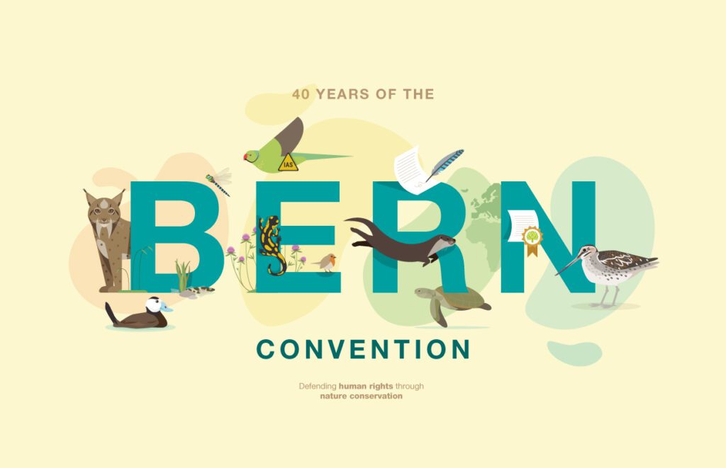 BERN CONVENTION